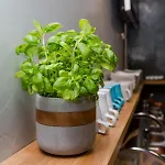 Hviezda Vendégház *